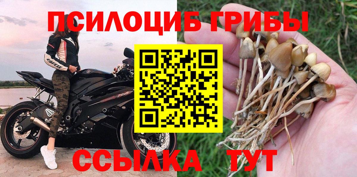 Кашира  Псилоцибиновые грибы ЛСД  Вход с VPN  Псилоцибиновые грибы GOLDEN TEACHER 