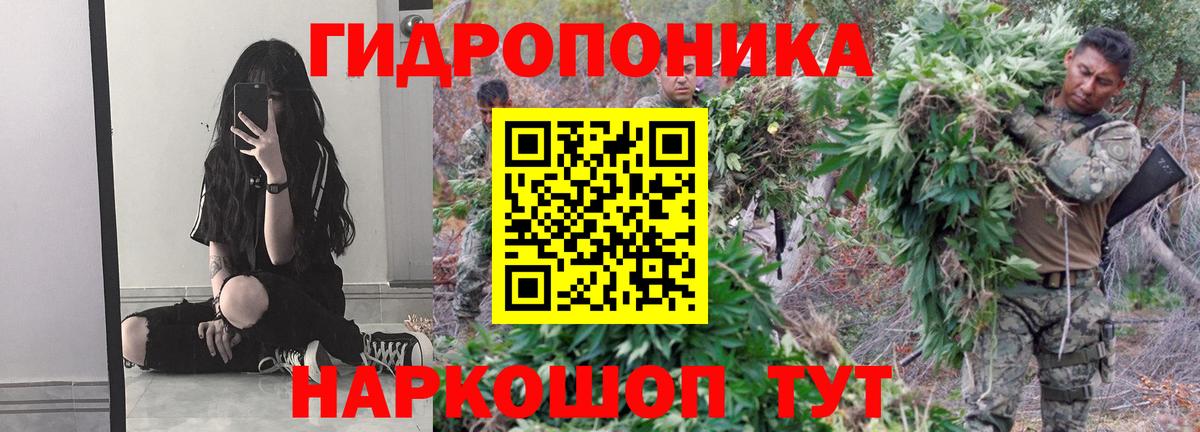 Марихуана марихуана  Вход с VPN  Бошки Шишки семена  Марихуана OG Kush  Кашира 